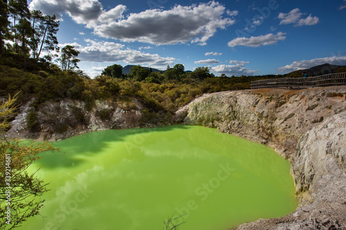 Devil`s Bath green pond at Wai-O-Tapu thermal wonderland, Rotorua, North Island, New Zealand