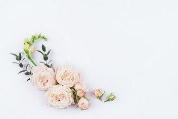 Spring background. Composition of rose flowers and eucalyptus branches on a white background. Flat lay. Copy space for your text.