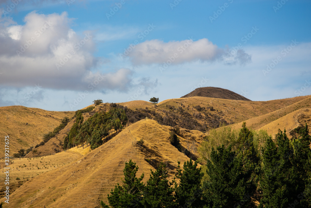 Hills In Arthus Pass, New Zealand