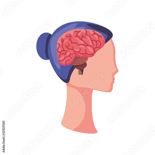 Fototapeta Naklejka Na Ścianę i Meble -  brain in human head on white background