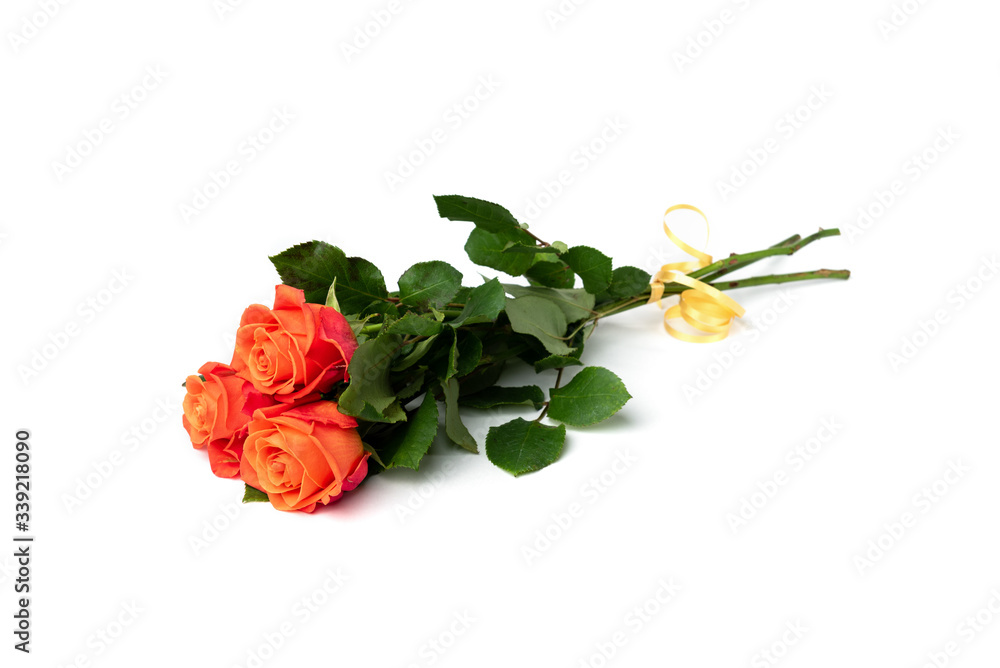 Orange roses isolated on white background.