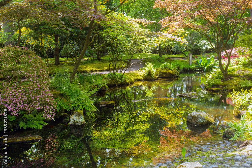 Amazing view on pond and blossoming nature in japanese garden in the Hague Amazing view on pond and blossoming nature in japanese garden in the Hague