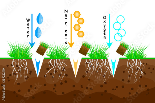 Lawn aeration. Lawn grass care service, gardening and landscape design. Waste of aeration technique used in the upkeep of turf. Lawn maintenance. For article, infographics or instruction. Stock vector