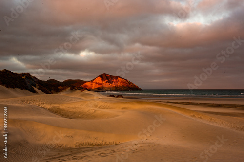 View of the sand dunes near Wharariki Beach at Nelson  New Zealand