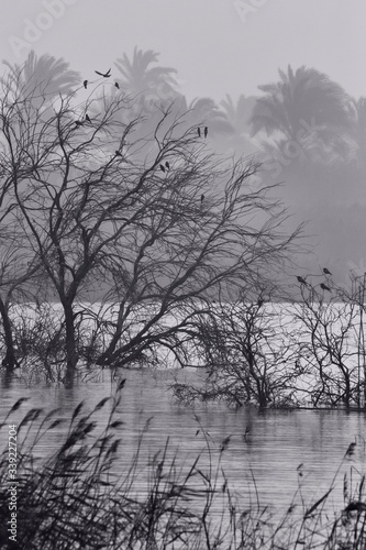 Black and white photo of lake during storm