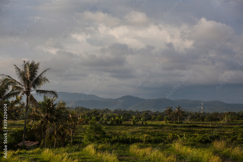 Beautiful Balinese view of rice fields and mountains - Light cloudy - Indonesia