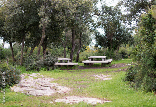 Concrete benches and picnic tables in the forest