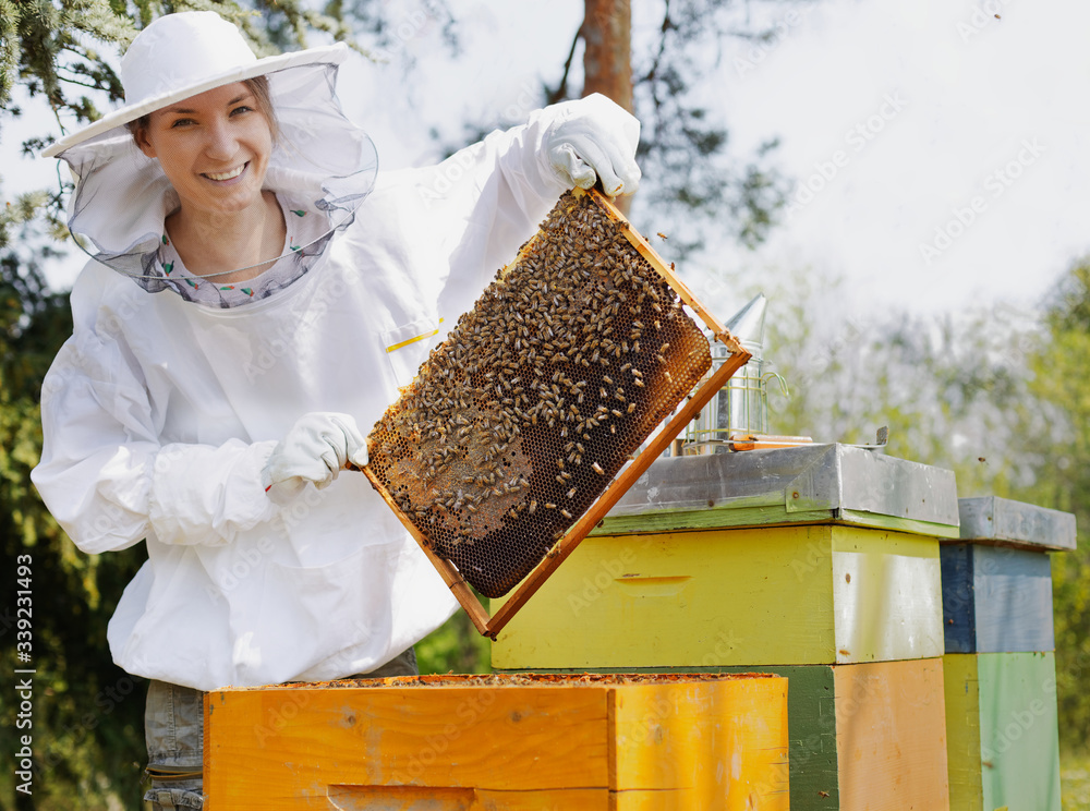 Beekeeper holding a honeycomb woman in protective workwear inspecting honeycomb frame at apiary. Beekeeper holding a honeycomb woman in protective workwear inspecting honeycomb frame at apiary.