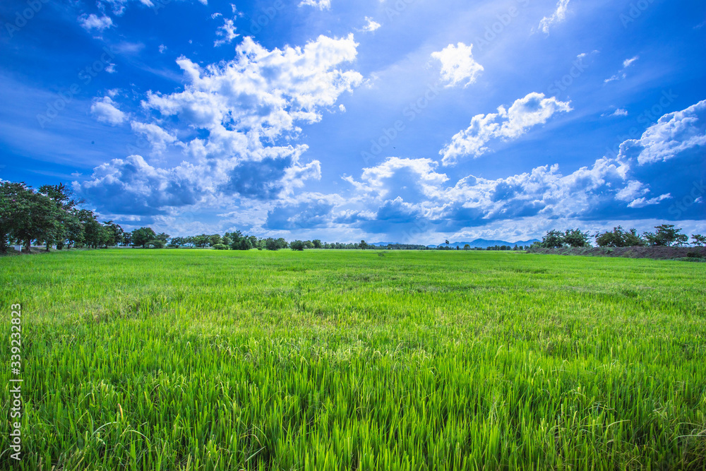 green field and blue sky with clouds Thailand green field and blue sky with clouds Thailand