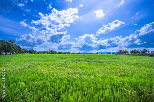 green field and blue sky with clouds Thailand