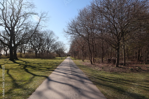 path in the park