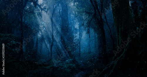 Fototapeta Naklejka Na Ścianę i Meble -  Magic forest with points of light