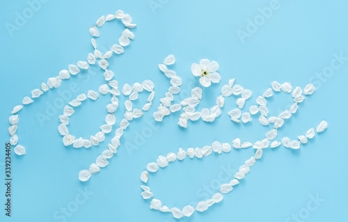 The word SPRING in calligraphic handwriting from white flower petals on a light blue background. Template for designer.