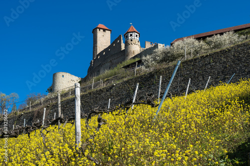 Burg Hornberg bei Neckarzimmern photo