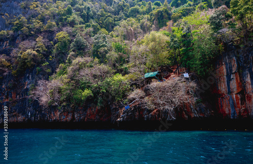 Beautiful trees on mountain in the sea at Krabi, south of Thailand