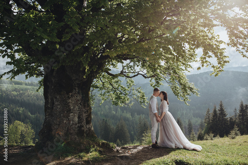 Spring wedding in the mountains. A young guy in a white shirt and trousers and a girl in a white dress are standing under the branches of a large tree in the mountains at sunset