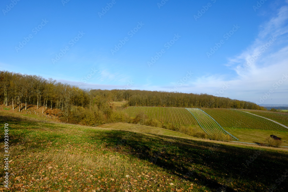 Landschaft und Weinberge bei Wipfeld, Landkreis Schweinfurt, Unterfranken, Franken, Bayern, Deutschland