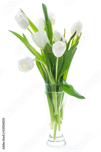 beautiful bouquet of white tulips on white background