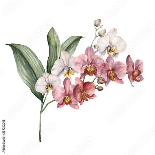 Watercolor bouquet with pink and white orchids. Hand painted tropical card with flowers  branches and leaves isolated on white background. Floral illustration for design  print  background.