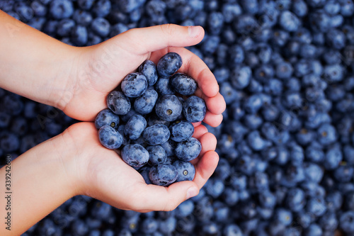 Close-up of childish hands holding blueberry