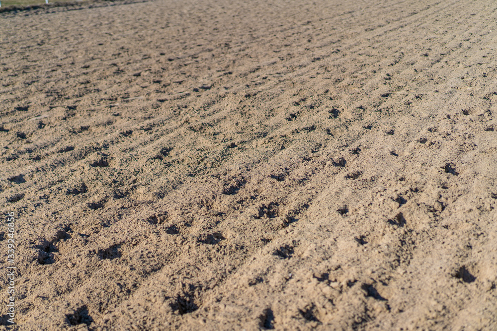 The sand on which the horses ran at the racetrack The sand on which the horses ran at the racetrack