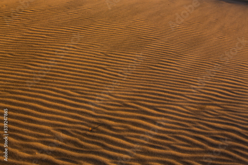 View of the sand dunes near Wharariki Beach at Nelson, New Zealand