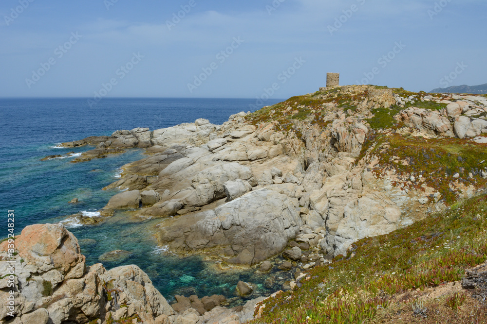 Genoese tower at Punta Spano amongst the maquis and rocks, Balagne region of Corsica, France