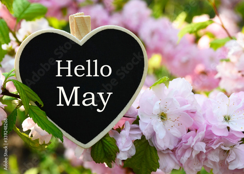 Hello May greeting card with decorative heart and pink spring flowers.Springtime concept with copy space.Selective focus.