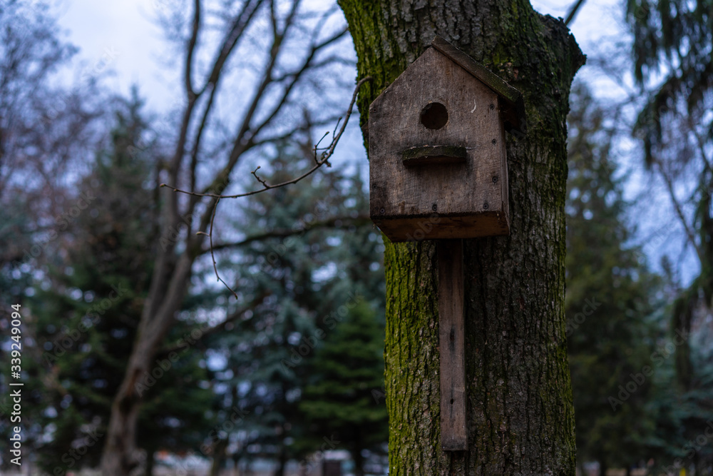 Old birdhouse mounted on a tree Old birdhouse mounted on a tree