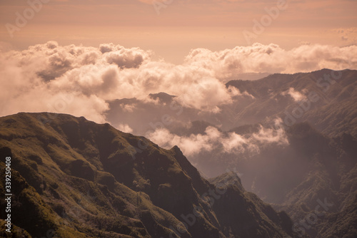 PORTUGAL MADEIRA NATIONAL PARK LANDSCAPE