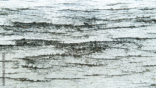 Wallpaper Mural white vintage wood paint texture Torontodigital.ca