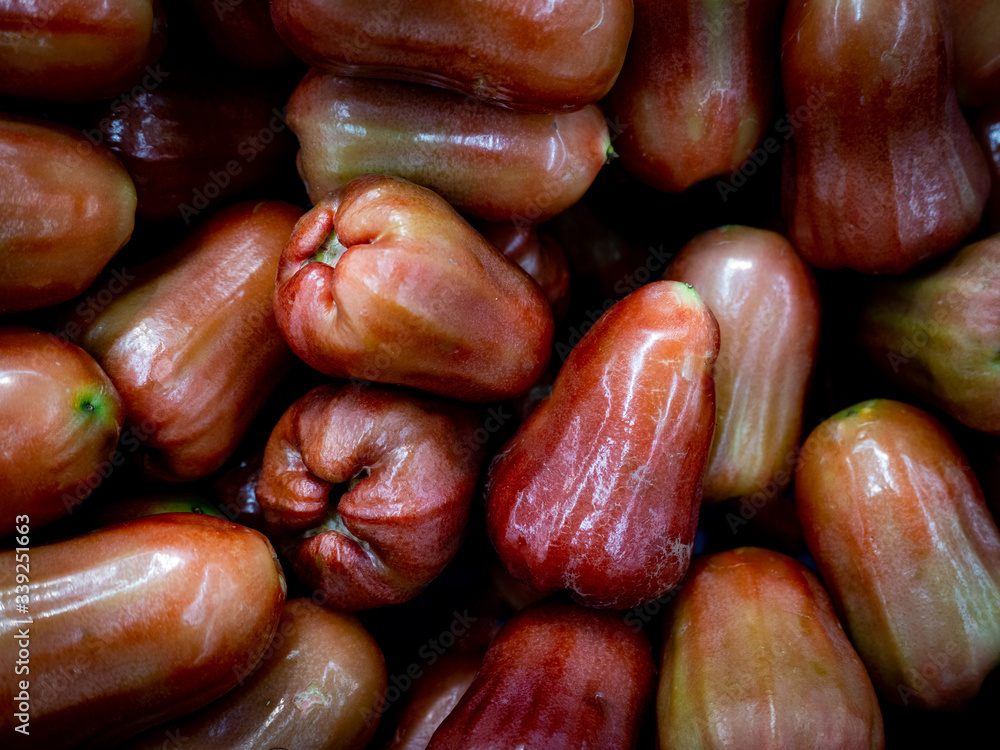 rose apple background wallpaper tropical fruit rose apple background wallpaper tropical fruit