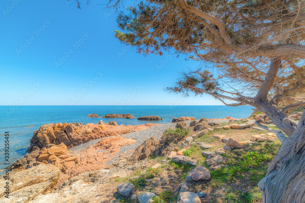 Rocks and plants by the sea in Baccu e Praidas beach