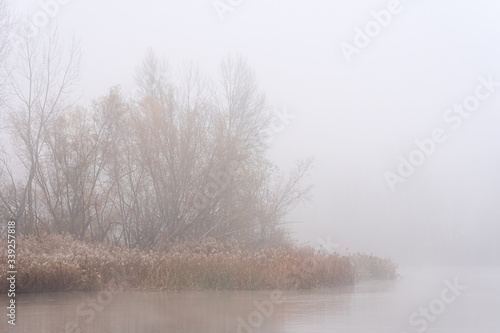Riverside forest landscape of the Duero river in a mysterious foggy day in Zamora, Spain