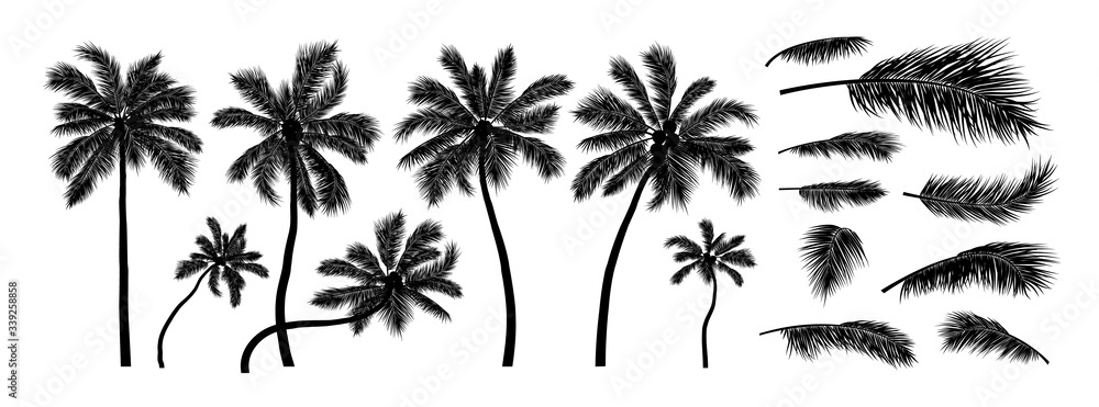 Silhouette coconut tree on white background vector illustration