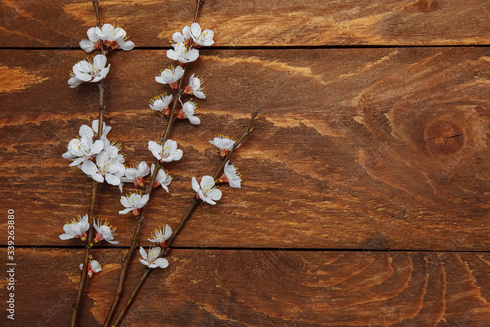 A bouquet of cherry blossoms on a brown wooden background with an empty space for text on the right top view