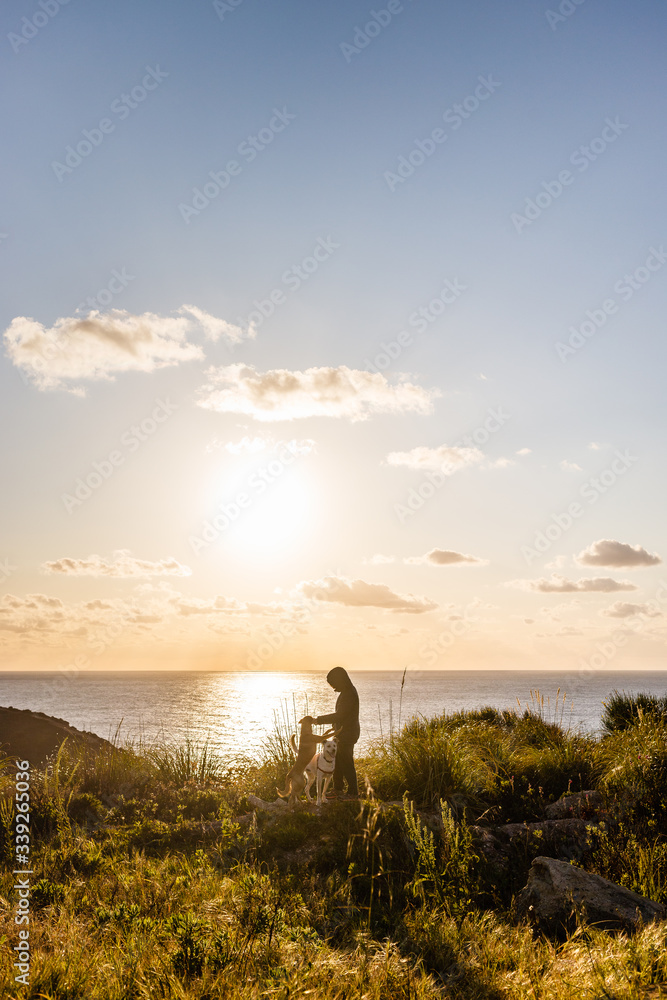 Fototapeta premium Pôr do sol com cão Vertical