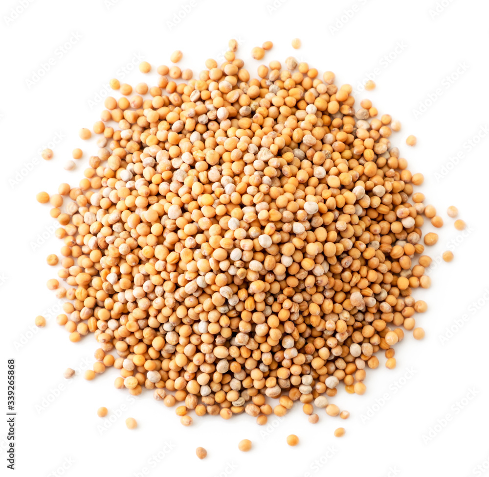 A pile of mustard seeds on a white isolated. The view from top A pile of mustard seeds on a white isolated. The view from top