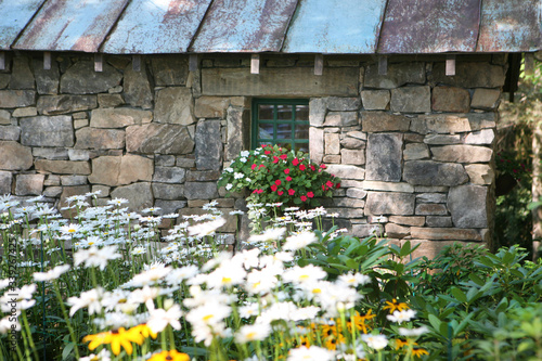 Obraz na płótnie cottage with field of flowers
