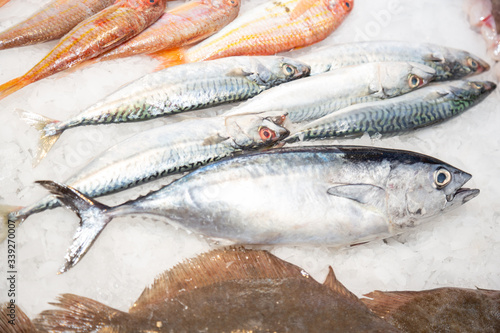 Fotografia Fresh fish at a fishmonger