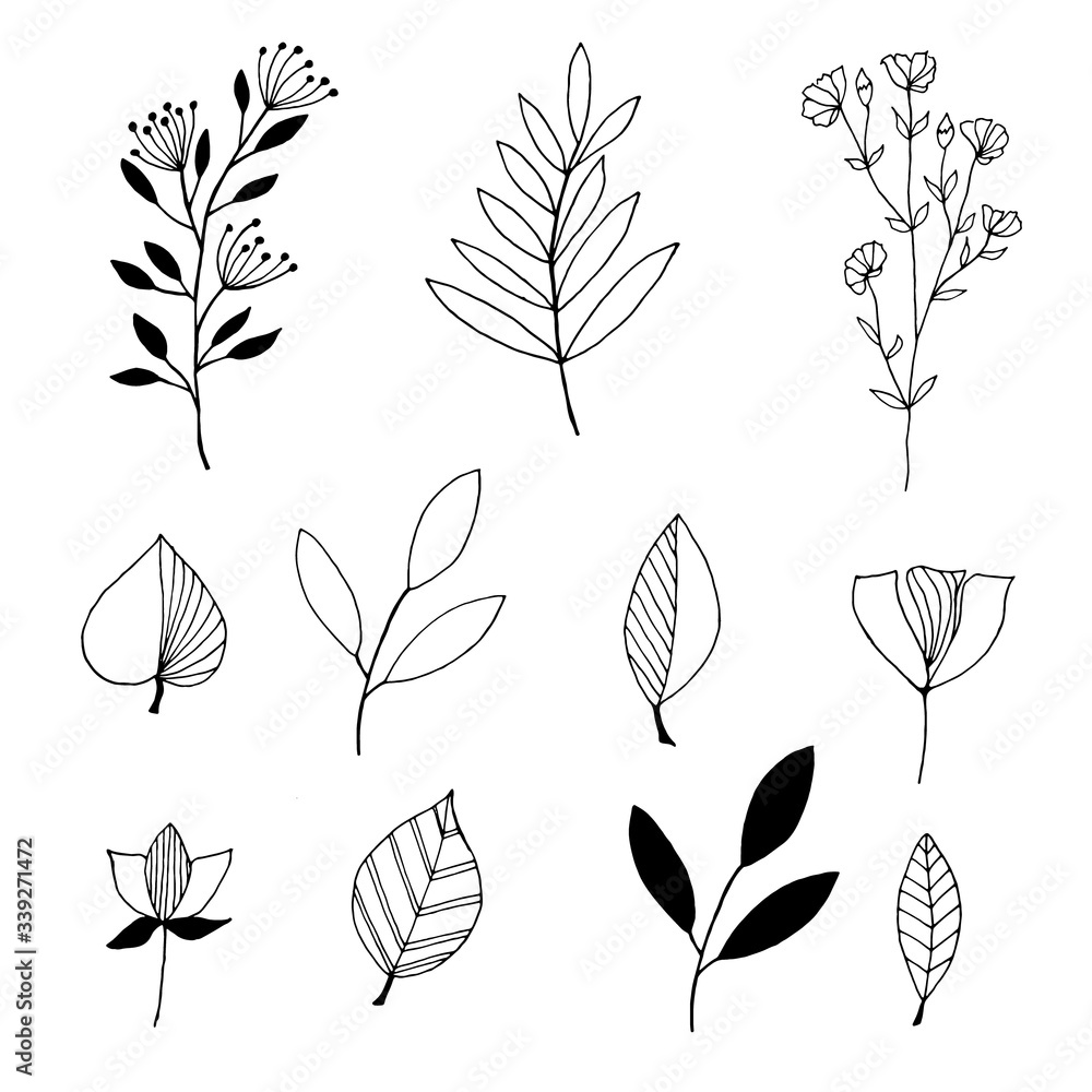 Set with leaves and flowers linear pattern on a white background. Line drawing flowers in abstract style.