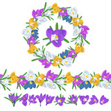 Hand drawn colorful crocus flowers circular wreath and seamless brush. Floral design element. Isolated on white background. Vector illustration