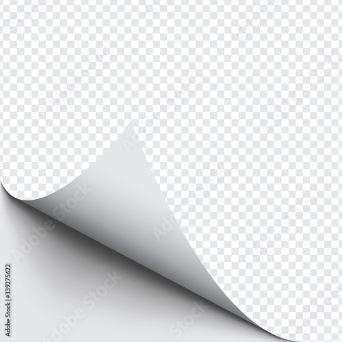 Curled corner of paper on transparent background with soft shadows, realistic paper page mock up.