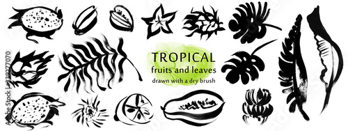 set of SILHOUETTES of TROPICAL FRUITS and LEAVES drawn in gouache with a dry brush, uneven edges and a free line with uneven edges in black isolated on a white background photo
