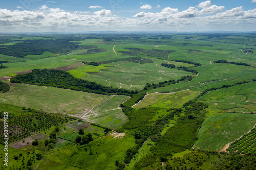 Agriculture  sugar cane cultivation and remnants of Atlantic forest in Goiana city  near Recife  Pernambuco  Brazil on March 1  2014. Aerial view