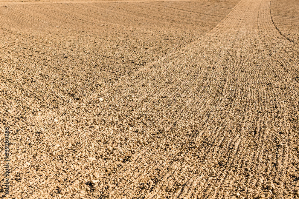 Curves and splines of plowed field for backgrounds Curves and splines of plowed field for backgrounds