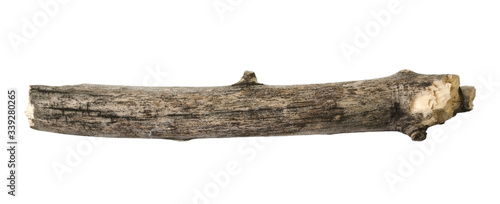 Tree branch or stick isolated on white background. Item for mock up, scene creator and other design photo