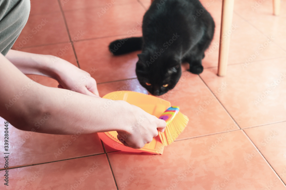 hands with brush and dustpan, black cat sits on floor in kitchen