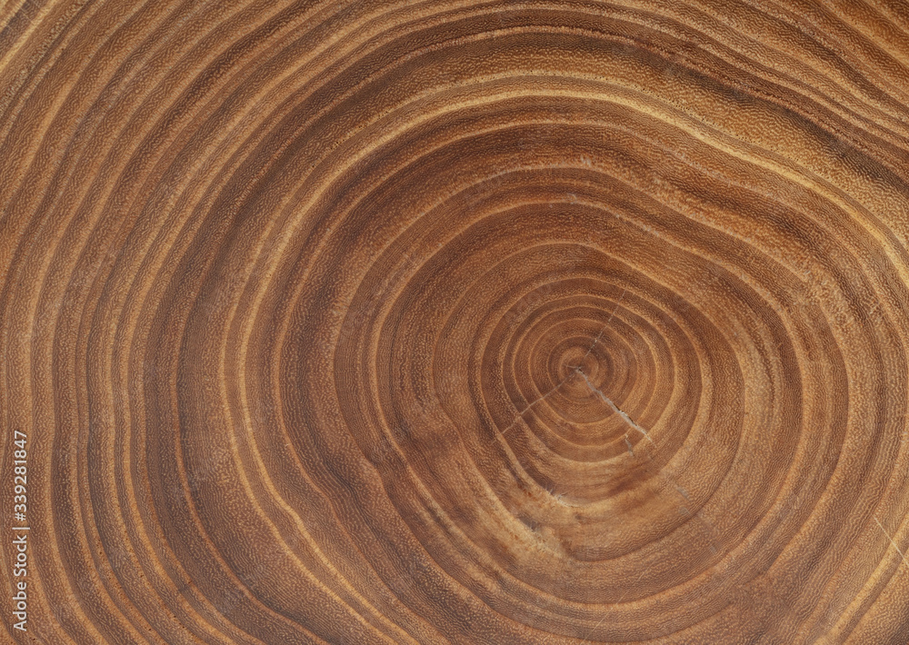 Brown wooden texture background, close up. Tree rings texture Brown wooden texture background, close up. Tree rings texture
