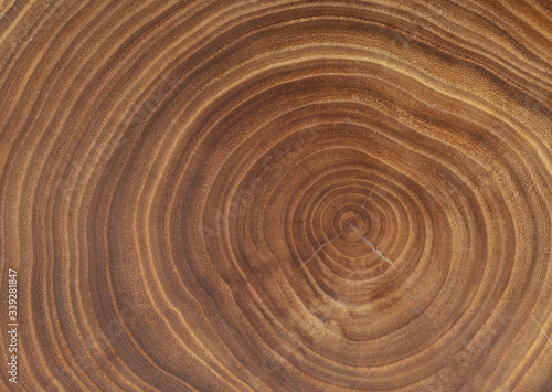 Brown wooden texture background, close up. Tree rings texture